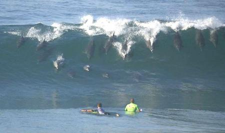 alatiiiiiiiiiiiiiiif